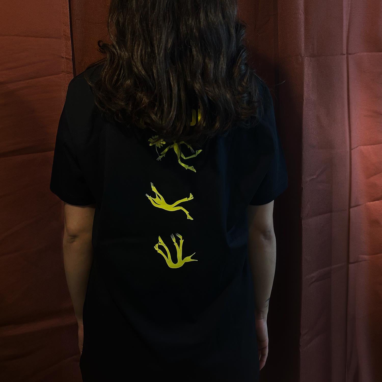 SHIRT - FALLEN ODER FLIEGEN?